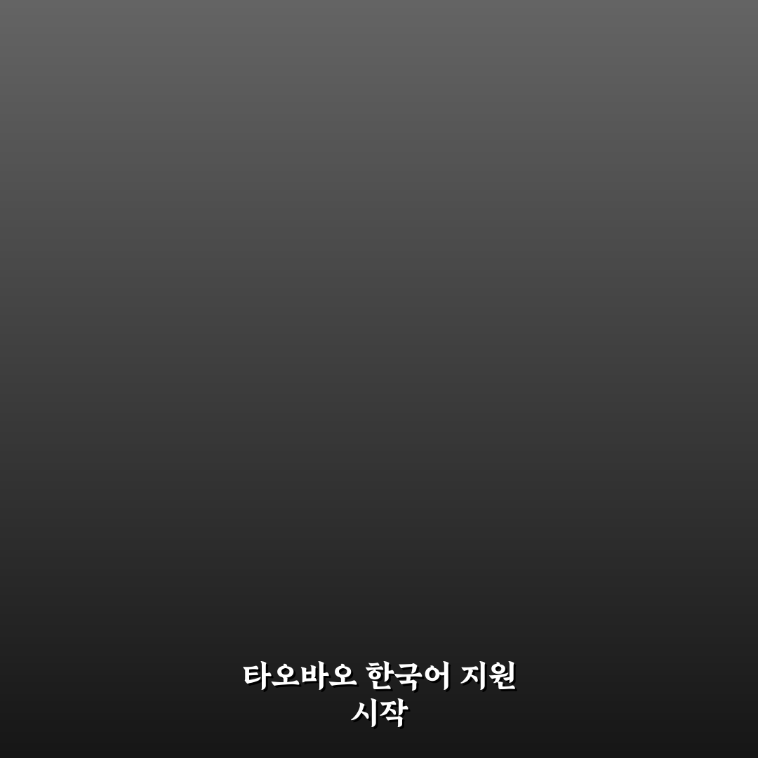 타오바오 어플 한국어 지원 비교와 사용 가이드 총정리