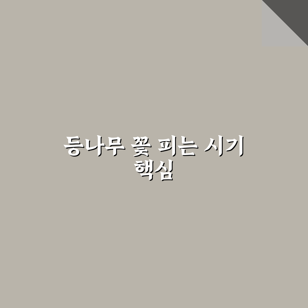 등나무 개화시기별 특징 비교와 개화 조건 총정리