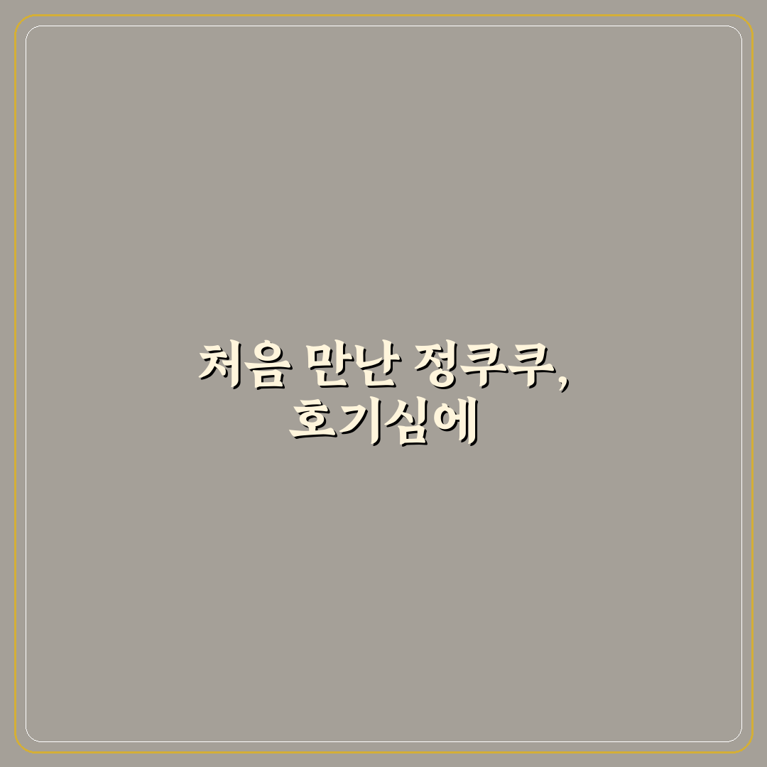 유튜버 정쿠쿠 리얼리뷰, 콘텐츠 스타일 직접 보니