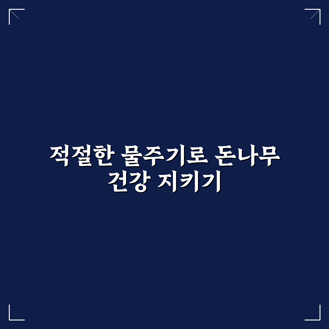 돈나무 물주기 기준과 5가지 체크포인트 분석 총정리