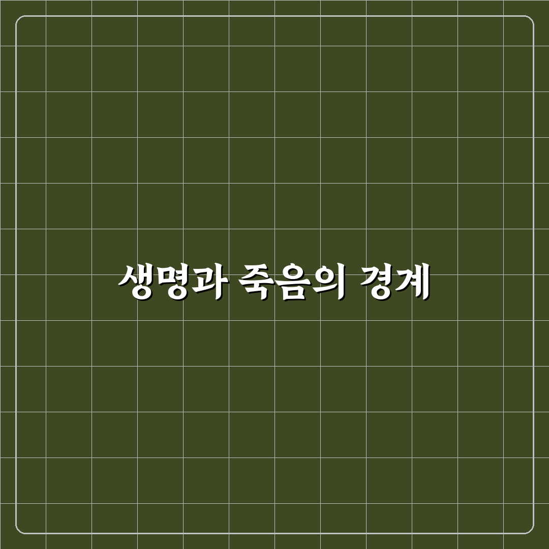 데미안 허스트 상어 작품 5가지 비교와 평가 기준 총정리