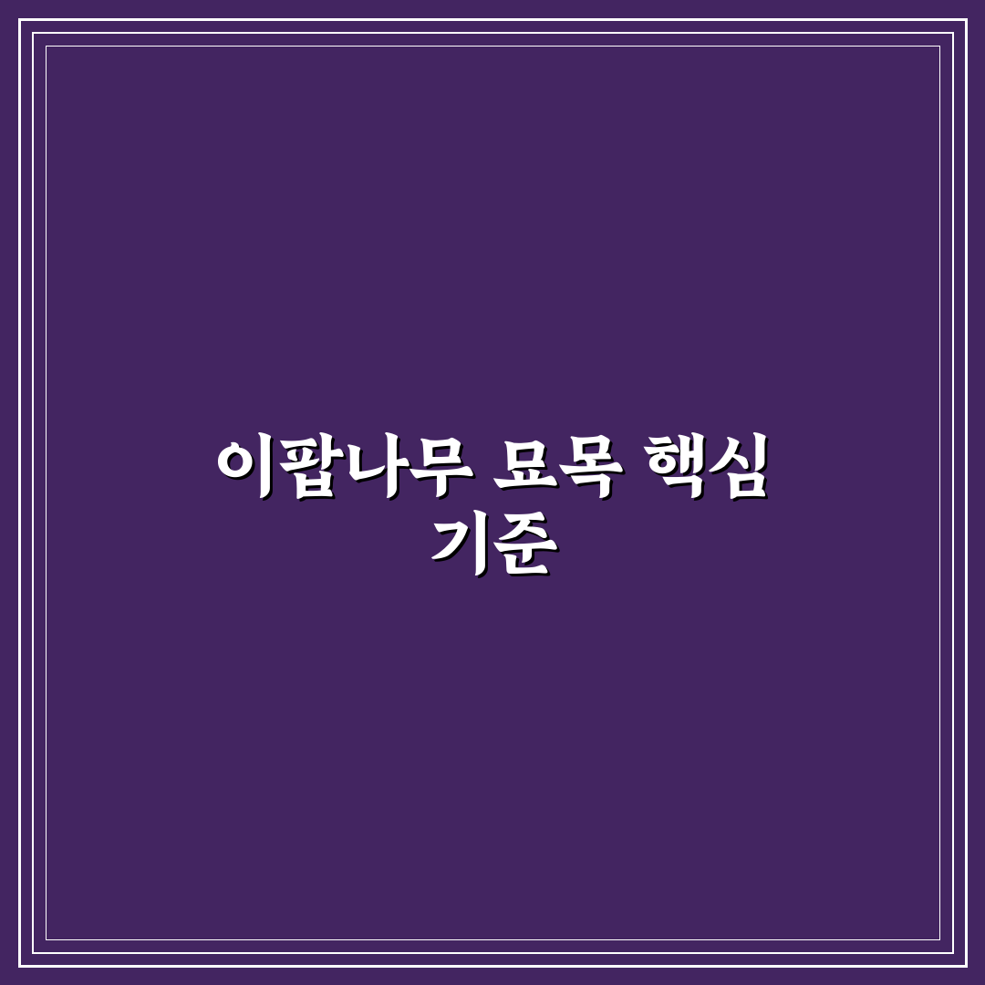 이팝나무 묘목 선택 가이드와 관리 체크포인트 총정리
