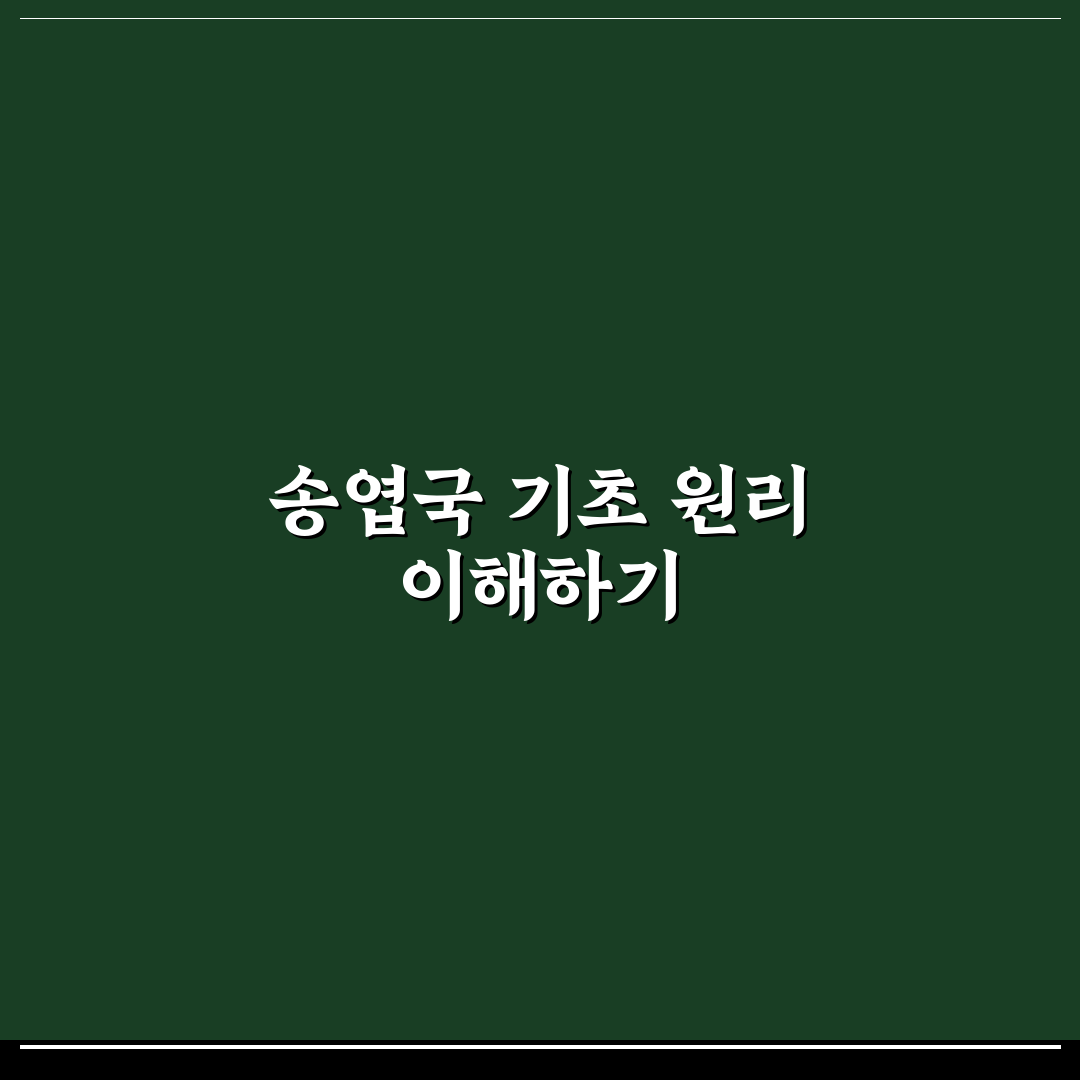 송엽국 키우기 기본 가이드와 생장 환경 체크포인트
