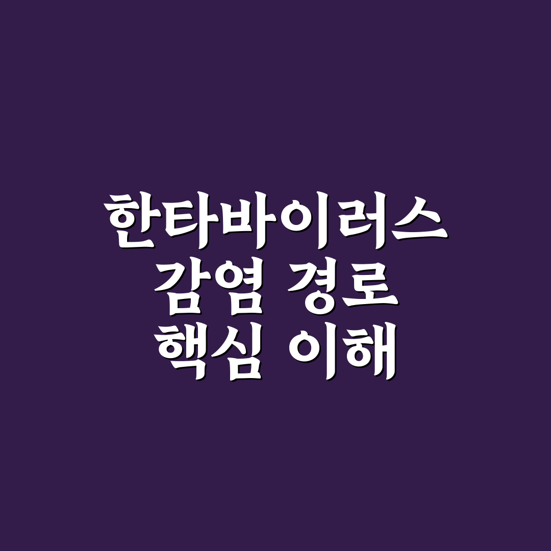 한타바이러스 감염 경로 5가지 기준별 비교 및 분석