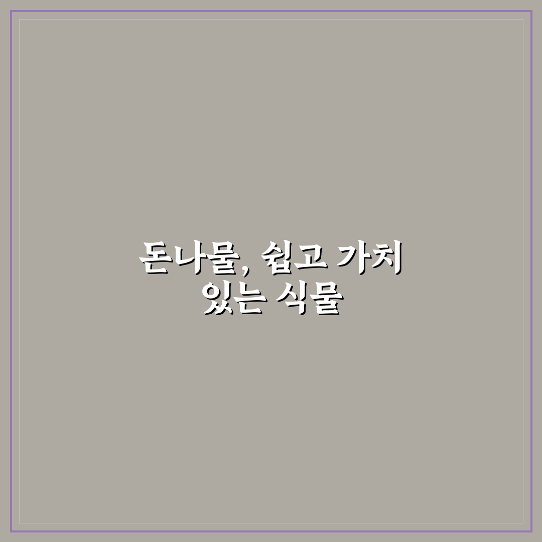 돈나물 키우기 5가지 기준과 재배 환경 분석 총정리
