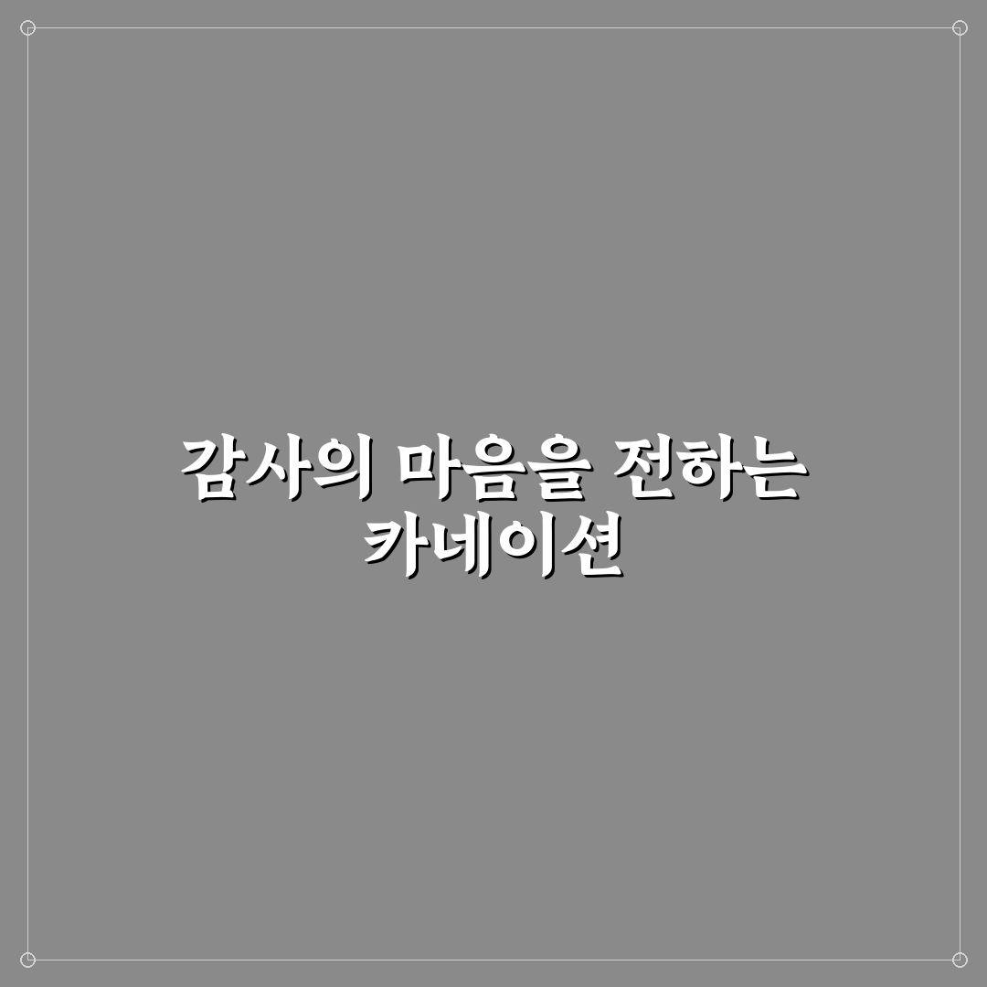 어버이날 카네이션 선택 가이드와 주요 품종 비교 분석