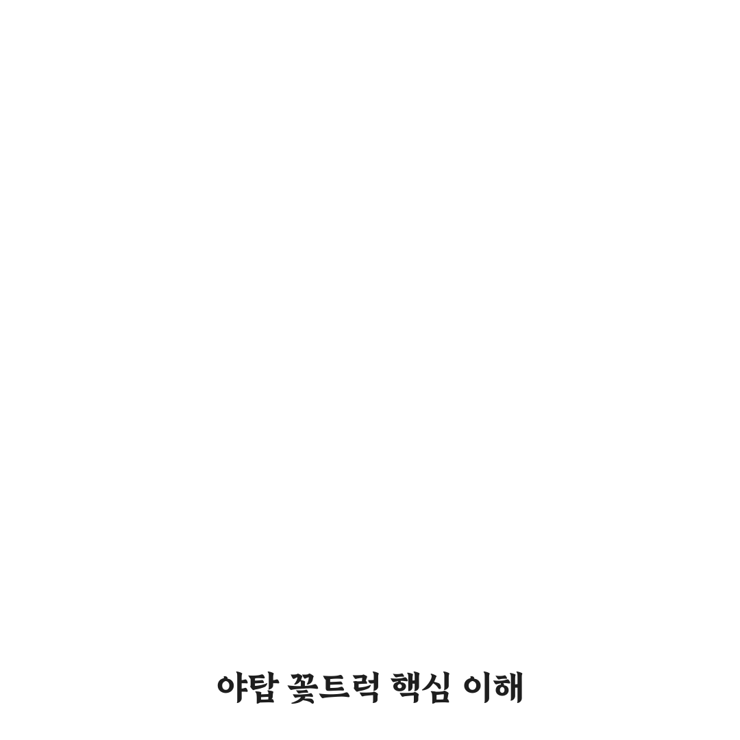 야탑 꽃트럭 비교와 선택 기준 5가지 총정리