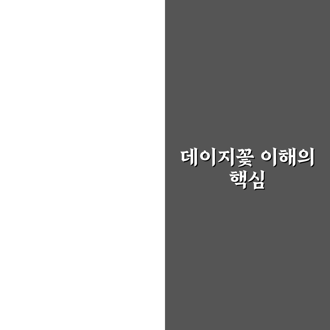 데이지꽃 이대 선택을 위한 5가지 비교 기준 분석
