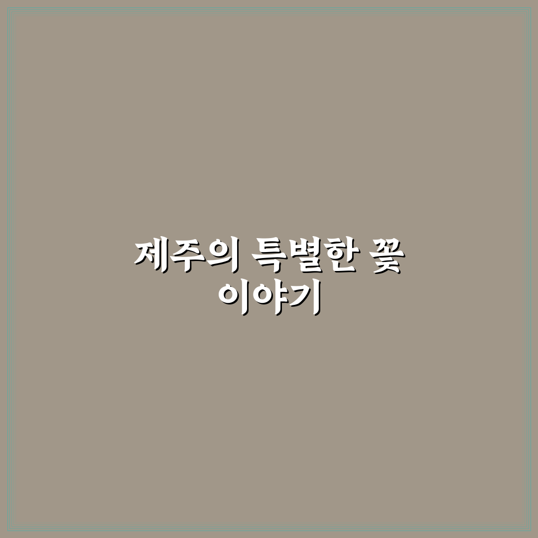 제주 로즈데이플라워 선택 기준과 5가지 체크포인트 분석