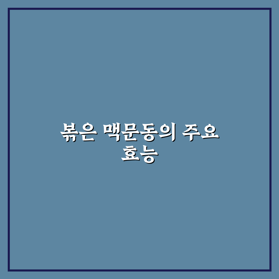 볶은 맥문동 효능 5가지 기준별 효과 분석과 체크포인트