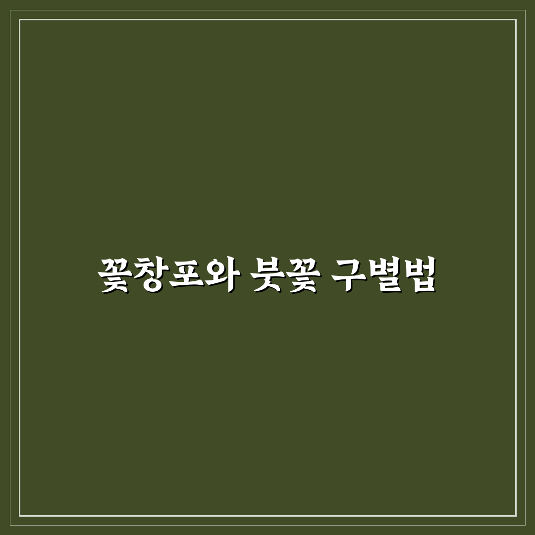 꽃창포 붓꽃 차이와 특징 5가지 비교 분석 가이드