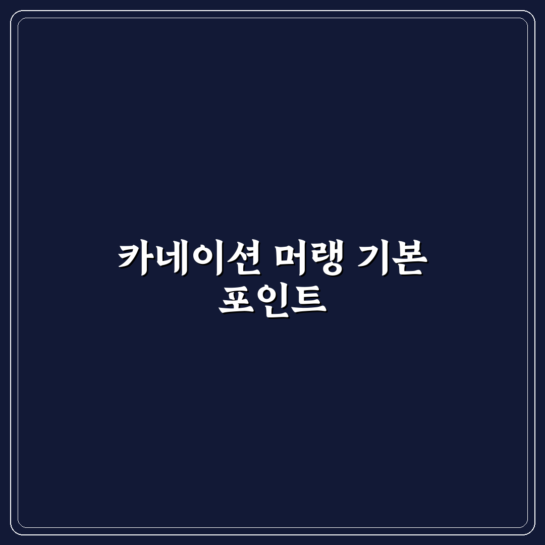 카네이션 머랭쿠키 품질 비교와 구매 가이드 총정리