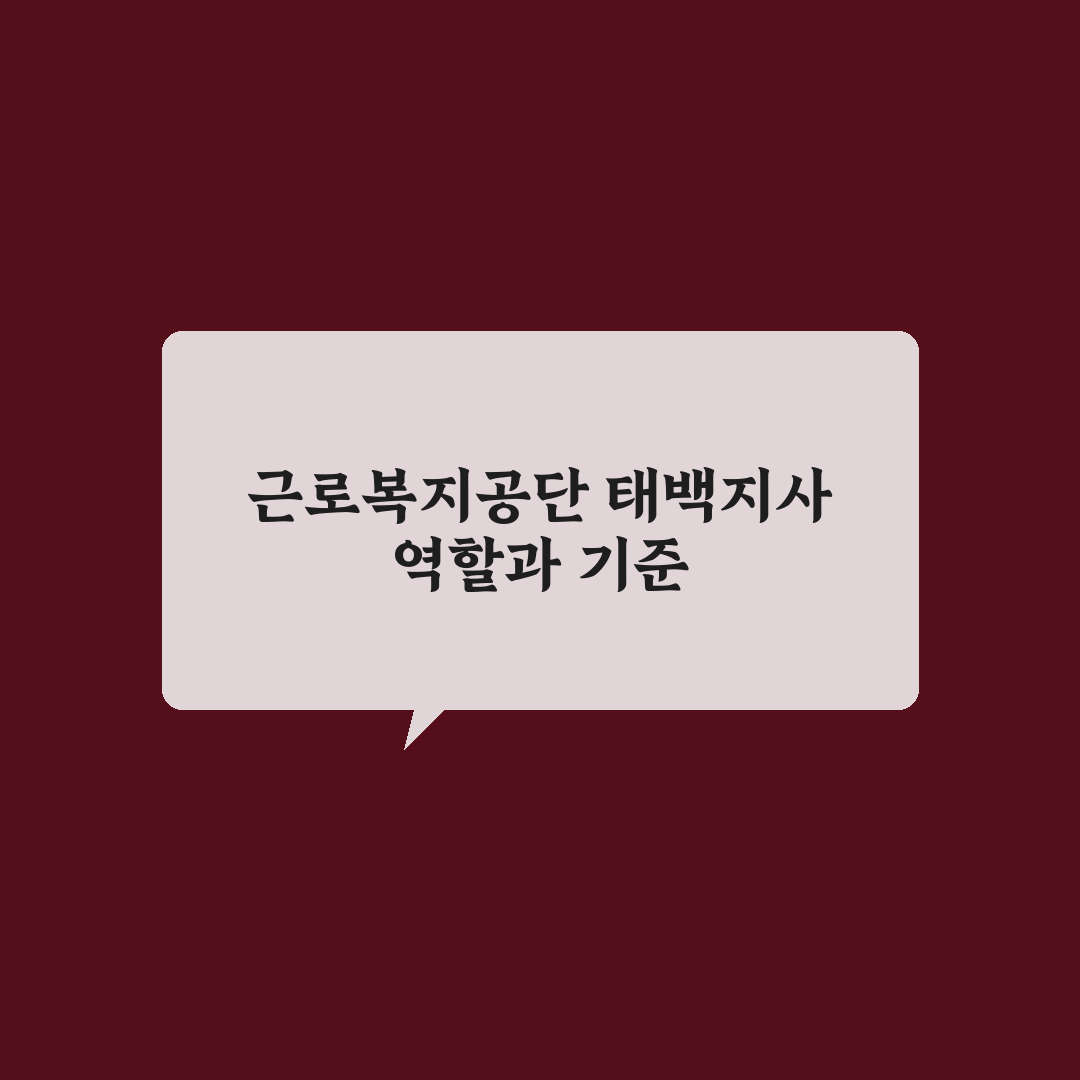 근로복지공단 태백지사 서비스 품질 비교와 이용 기준 분석