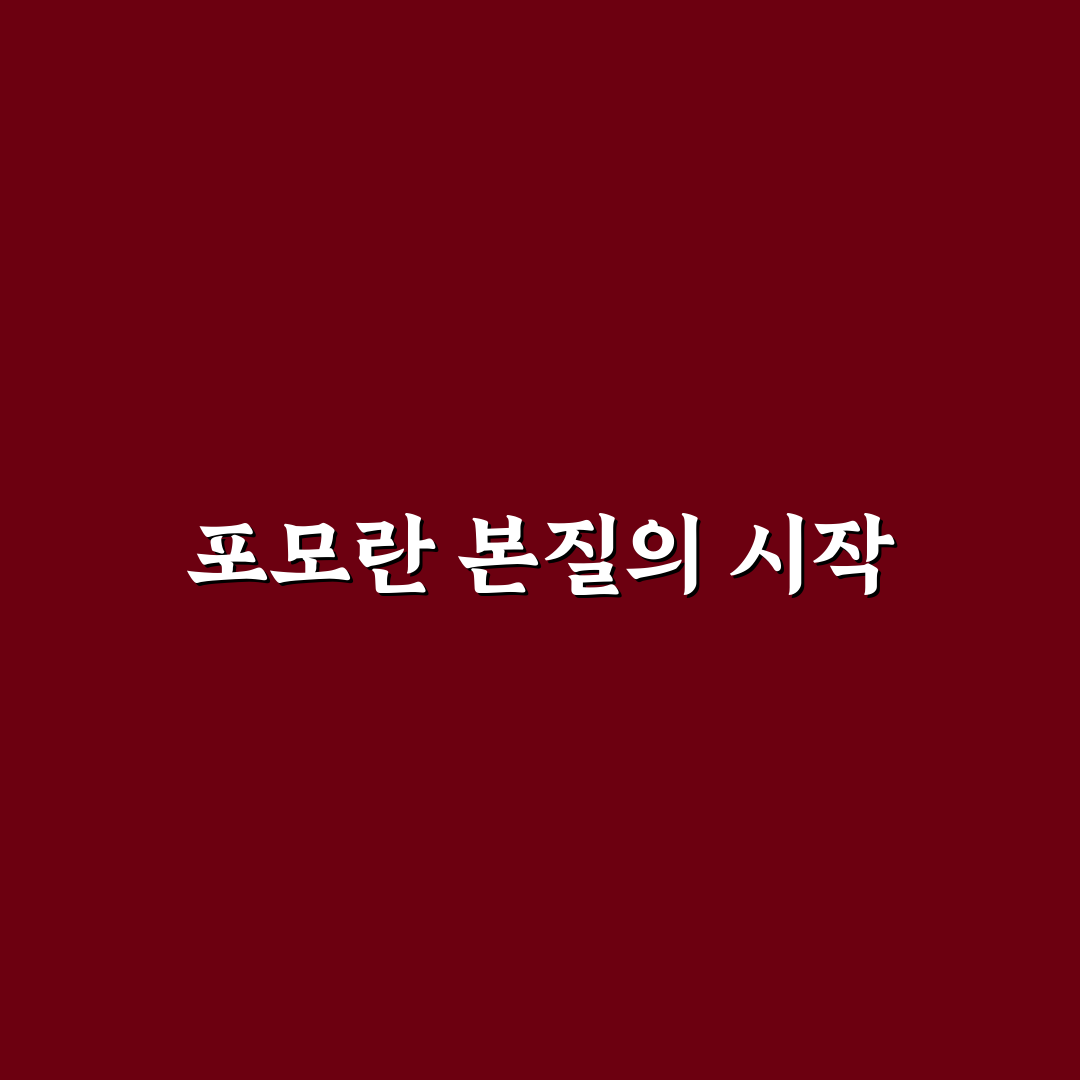포모란뜻 5가지 기준으로 살펴보는 의미 분석 가이드