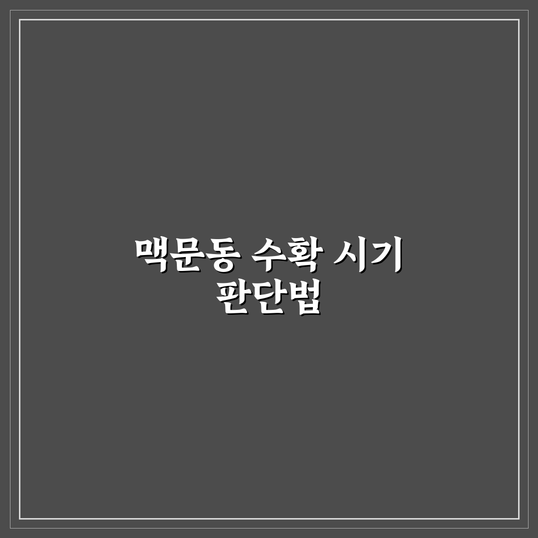 맥문동캐는시기 가이드와 주요 체크포인트 분석