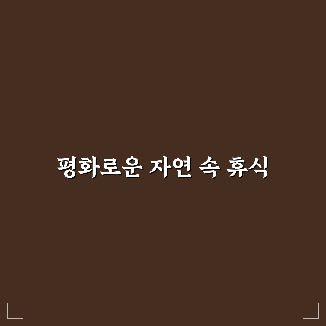 남이섬 투투별장 비교와 5가지 선택 기준 총정리
