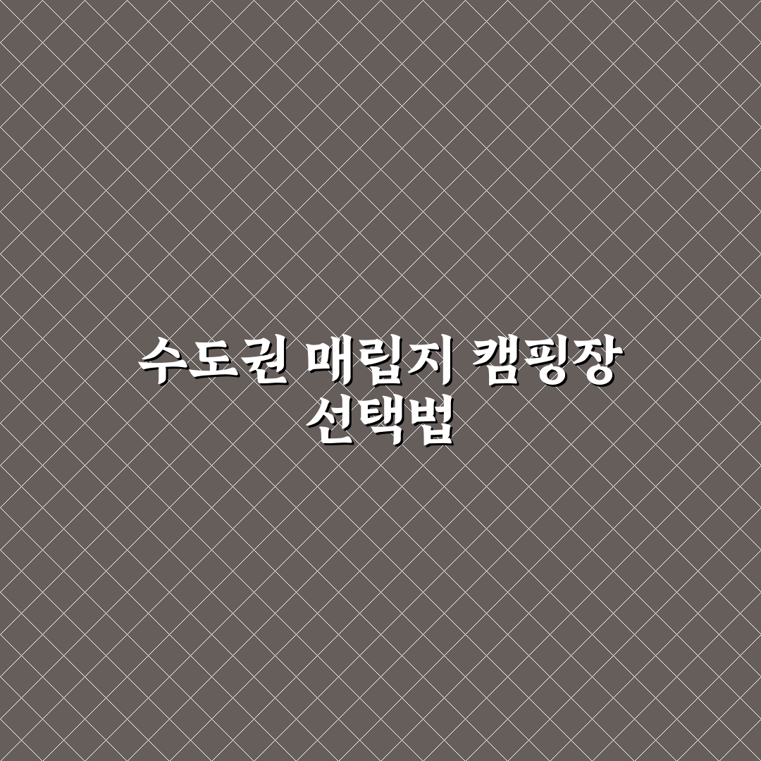 수도권 매립지 캠핑장 5가지 비교와 이용 기준 분석