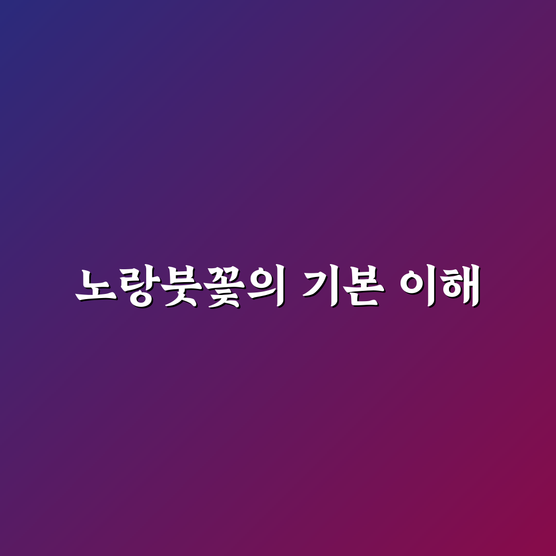 노랑붓꽃 품종별 특징과 재배 기준 비교 총정리