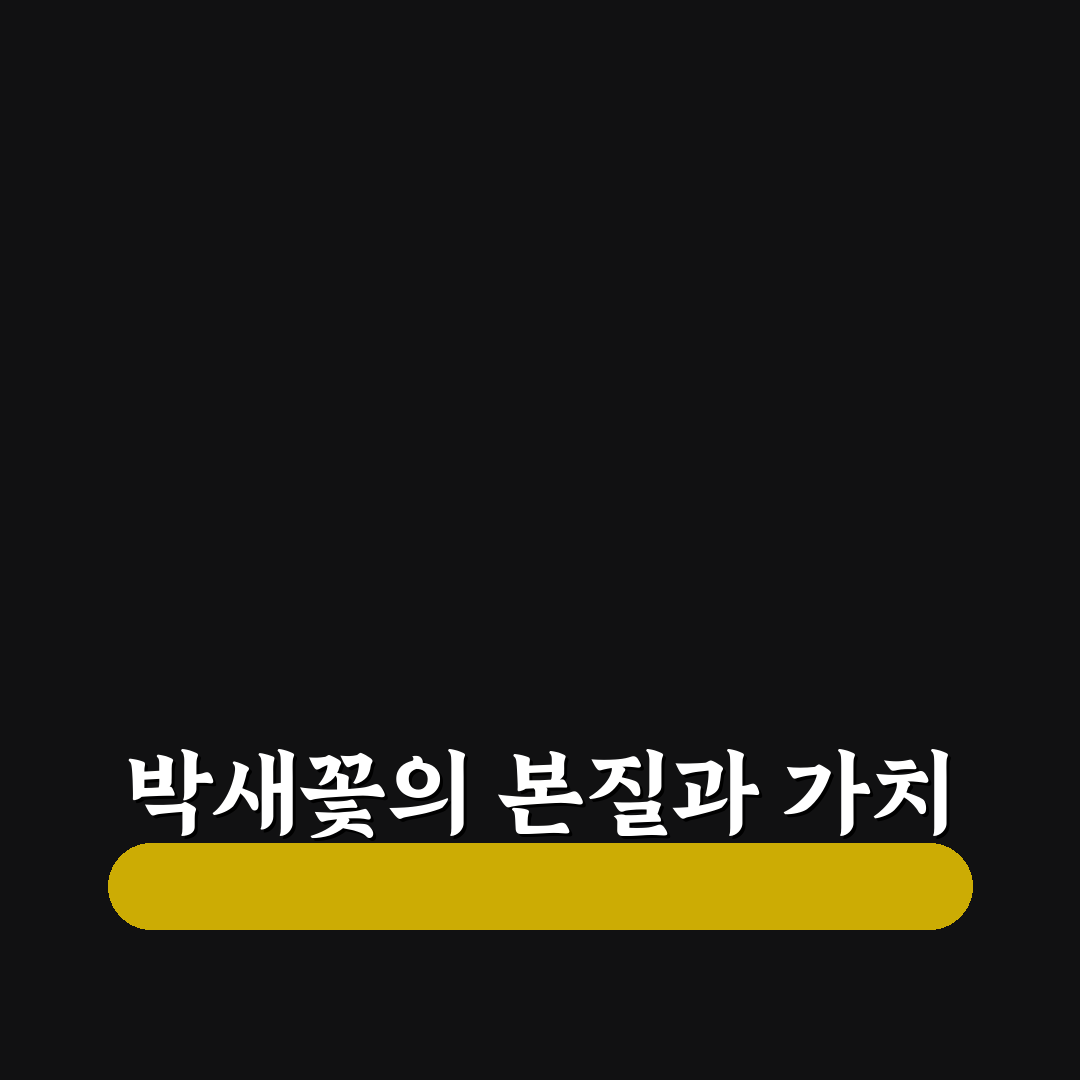 박새꽃 비교와 분석을 통한 5가지 성장 기준 총정리