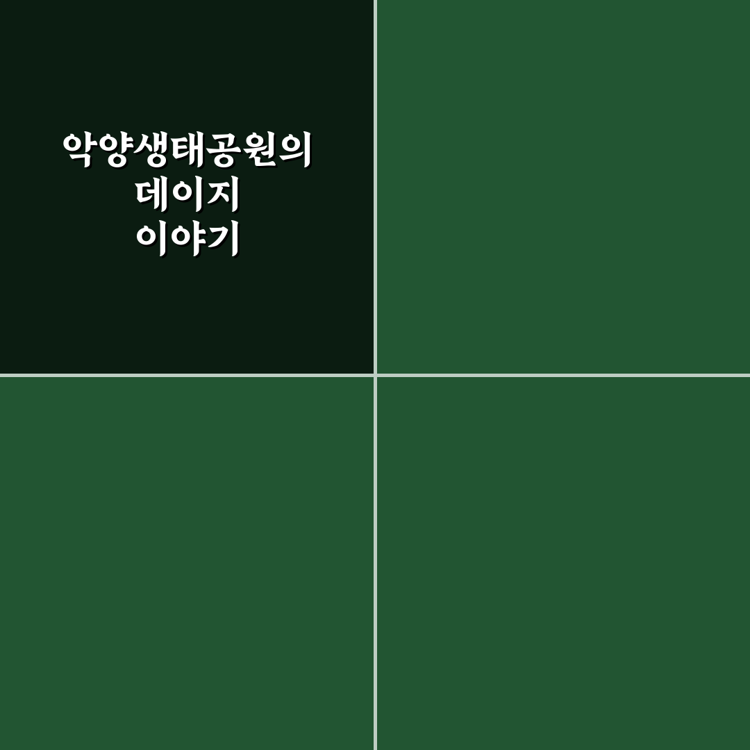 악양생태공원 데이지 관찰 가이드와 주요 체크포인트 분석