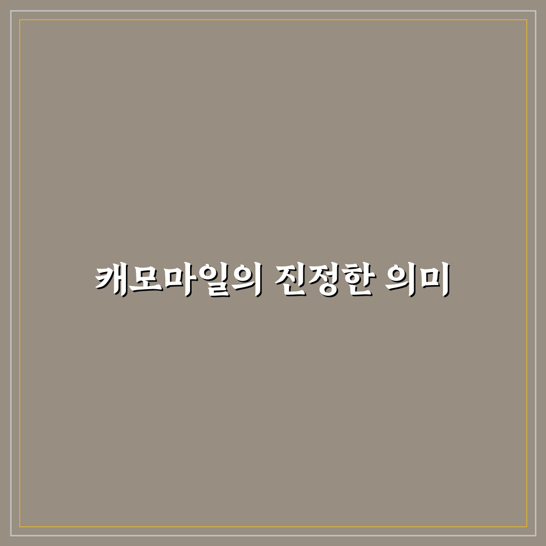 캐모마일 꽃말 의미와 종류별 차이점 총정리