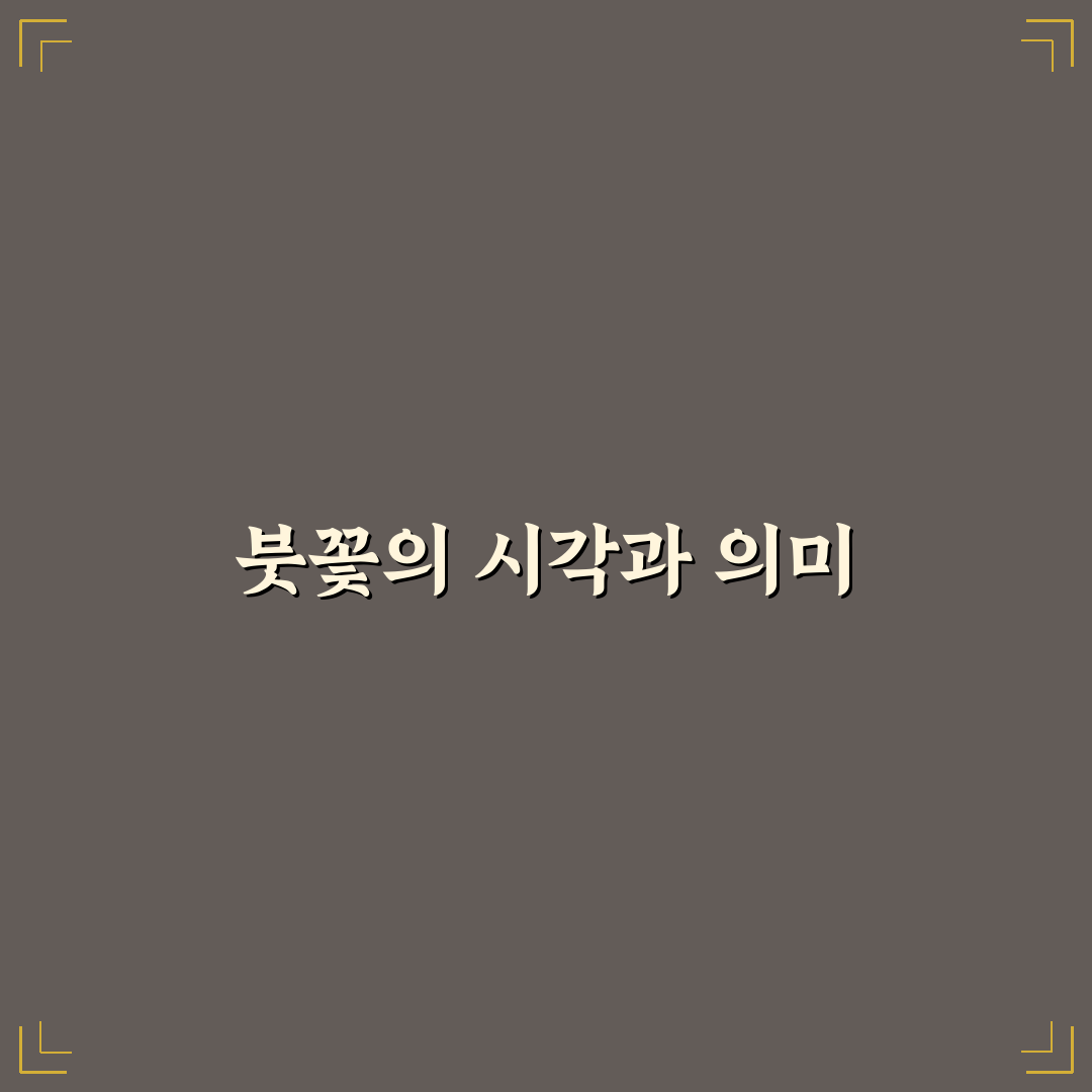 붓꽃 포토 촬영 5가지 기준과 구도 분석 가이드