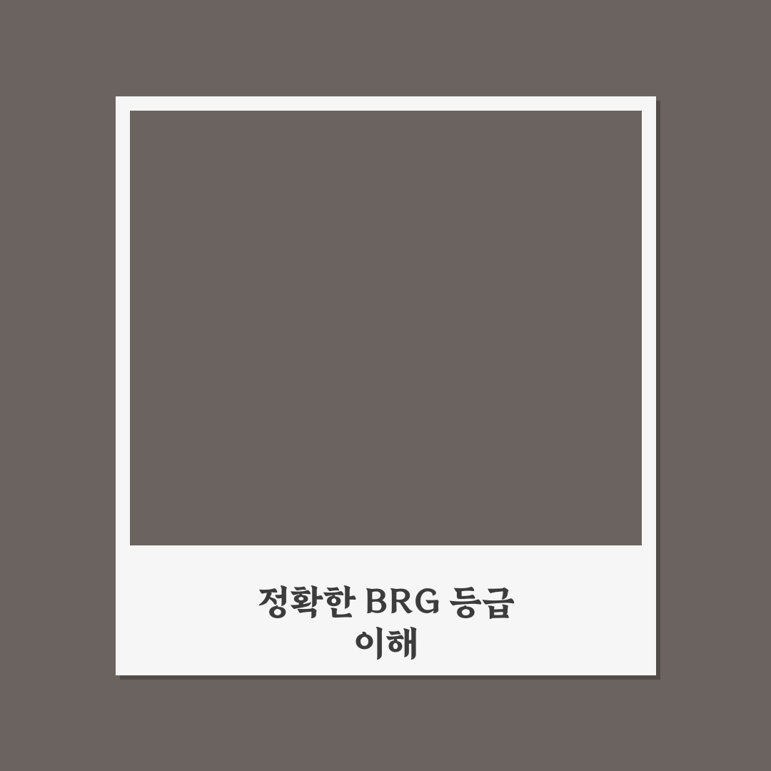 brg 그레이딩 보내는 법 5가지 체크포인트 총정리