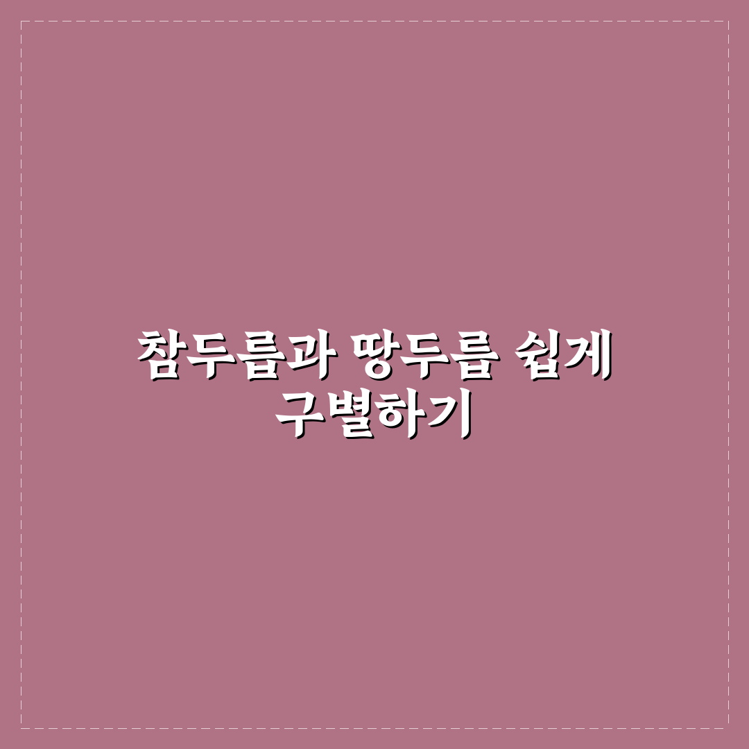 참두릅 땅두릅 차이 비교와 5가지 판단 기준 총정리