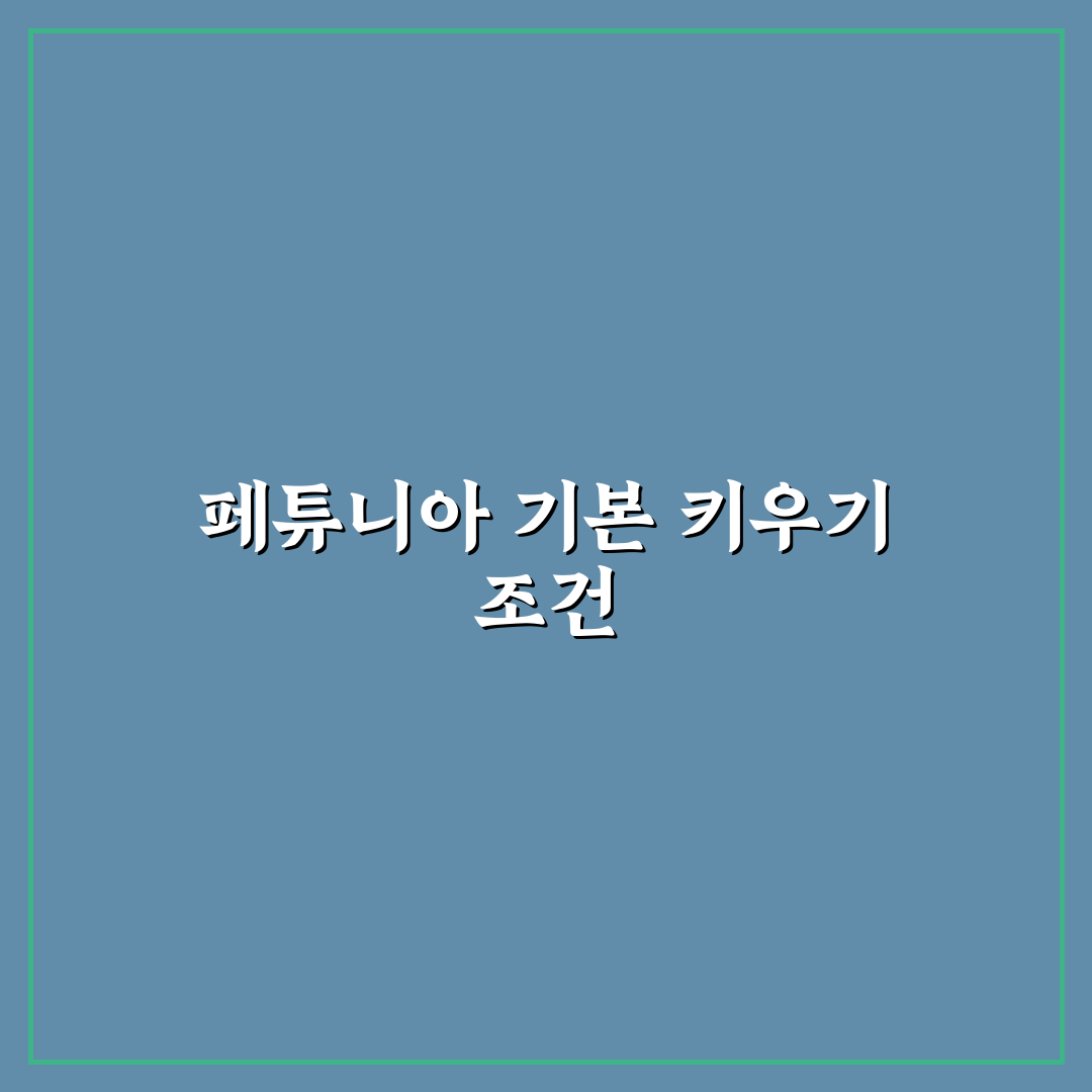 페튜니아 키우기 5가지 기준과 관리법 총정리