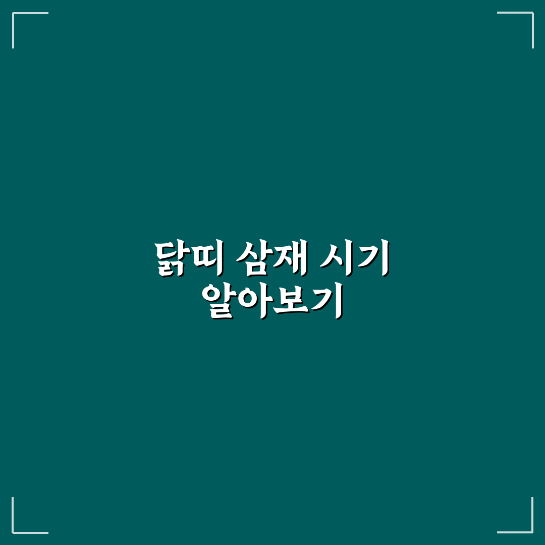 닭띠 삼재 년도 분석과 주요 체크포인트 총정리
