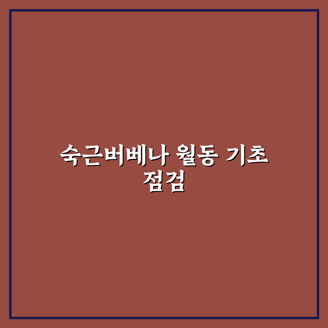 숙근버베나 월동 방법 5가지 기준별 비교와 체크포인트