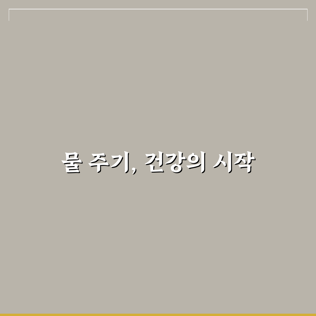 돈나무 물주는 시기와 방법 5가지 기준 총정리