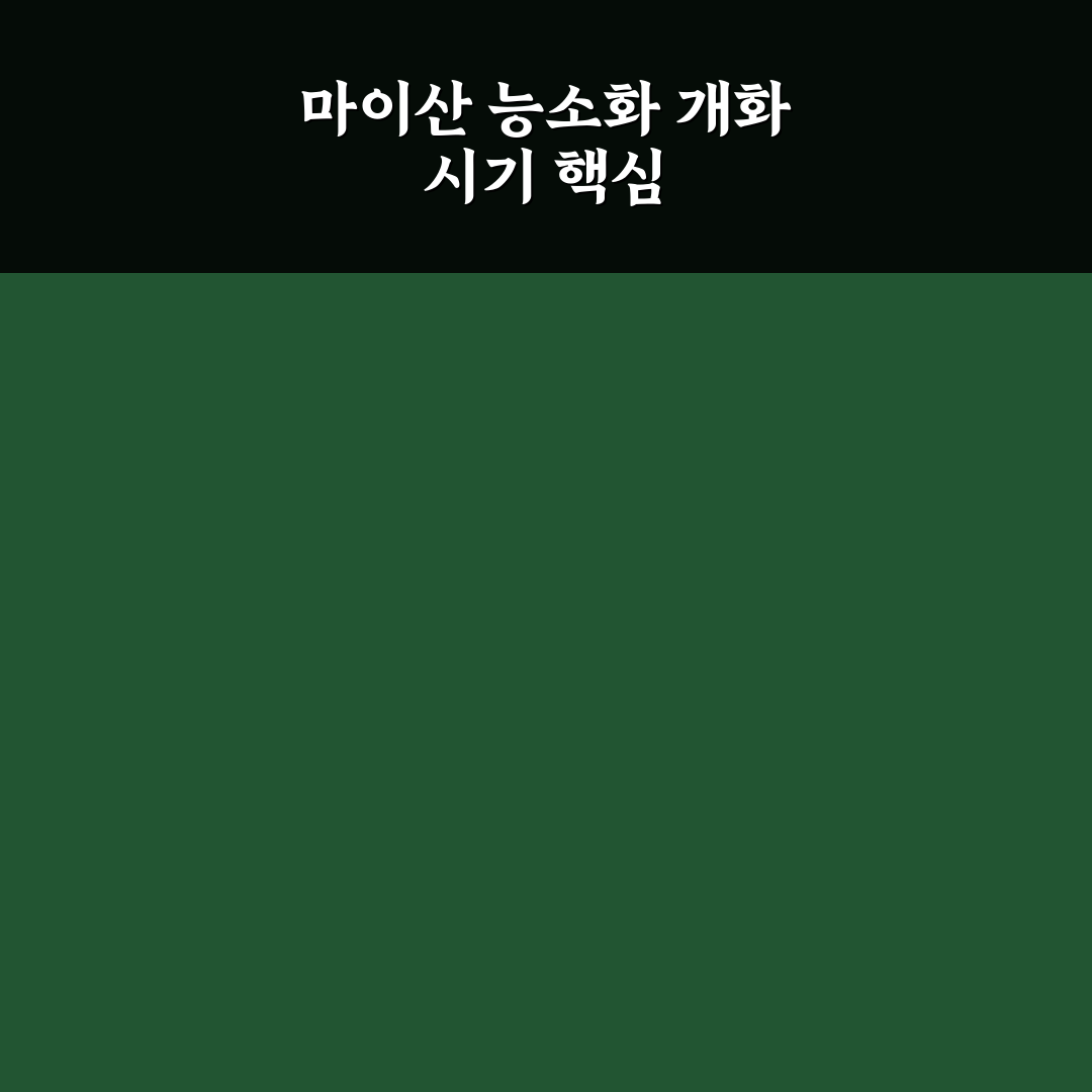 마이산 능소화 개화시기 분석과 최적 관찰 가이드