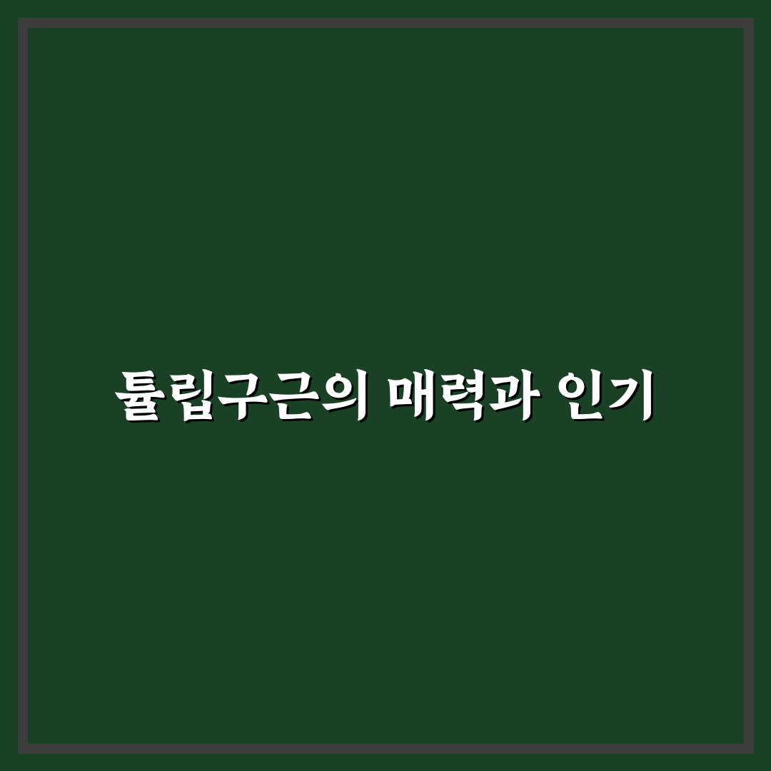 튜립구근 선택과 관리 5가지 기준 총정리