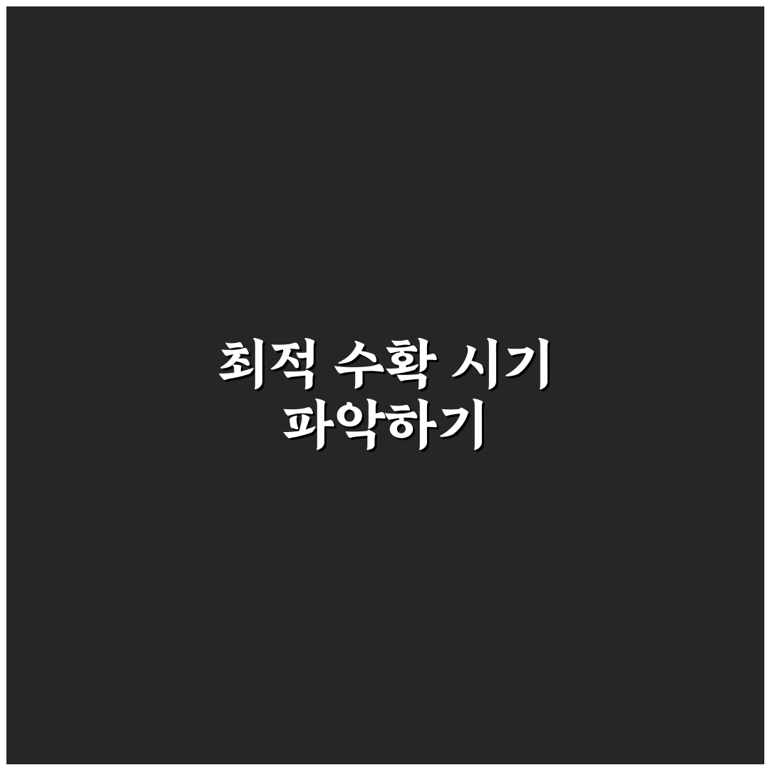 구기자수확시기 기준과 품질별 체크포인트 분석