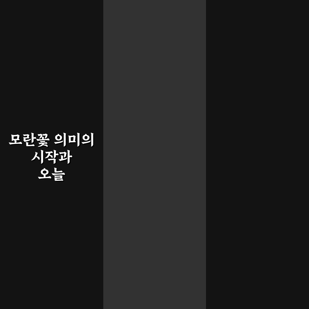 모란꽃 꽃말과 의미 분석 및 상황별 표현 가이드
