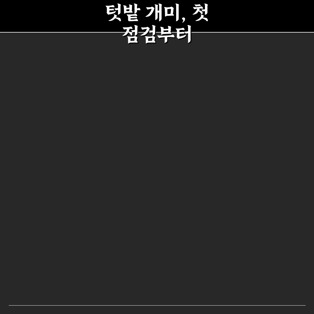 텃밭 개미 퇴치 방법 5가지 비교와 효과 분석