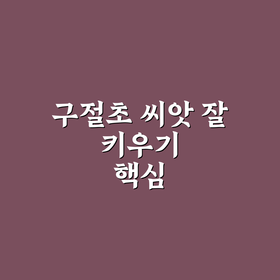 구절초 씨앗 파종 방법 5가지 기준별 비교와 가이드