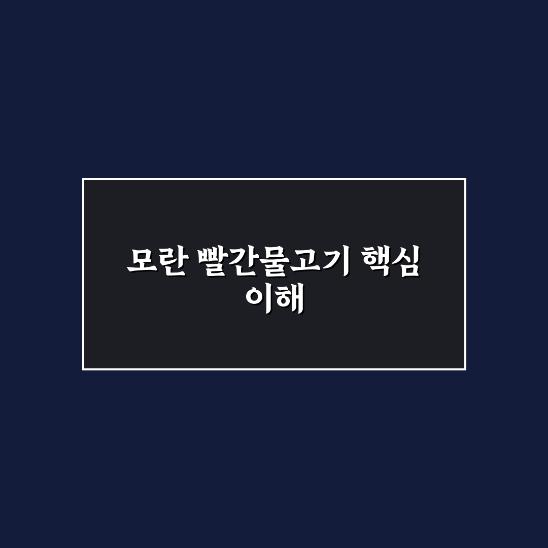 모란 빨간물고기 비교 분석과 선택 체크포인트 총정리