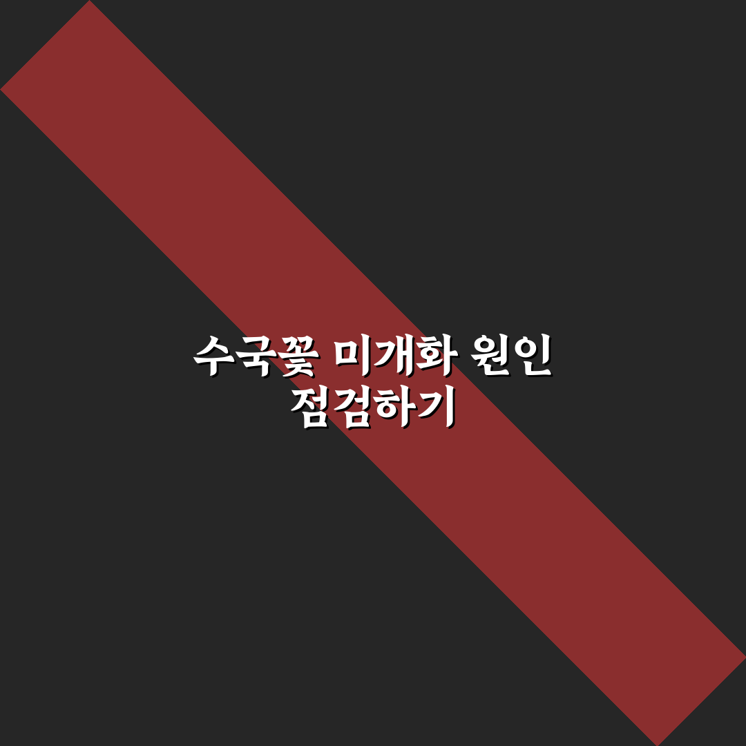 수국 꽃이 안 피는 이유와 해결 가이드 5가지 체크포인트
