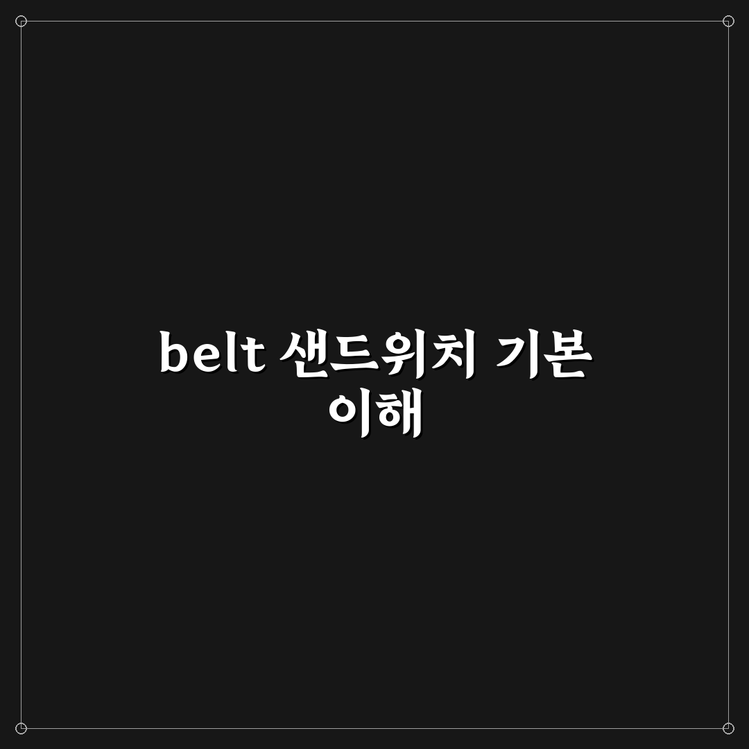 belt 샌드위치 의미와 종류별 비교 분석 가이드