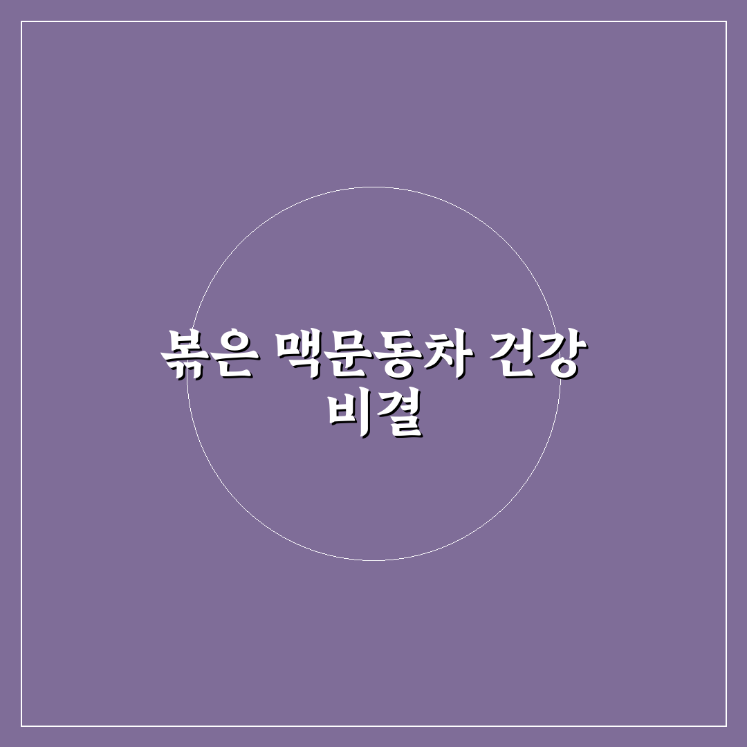 볶은 맥문동차 선택 가이드와 품질 비교 분석 총정리