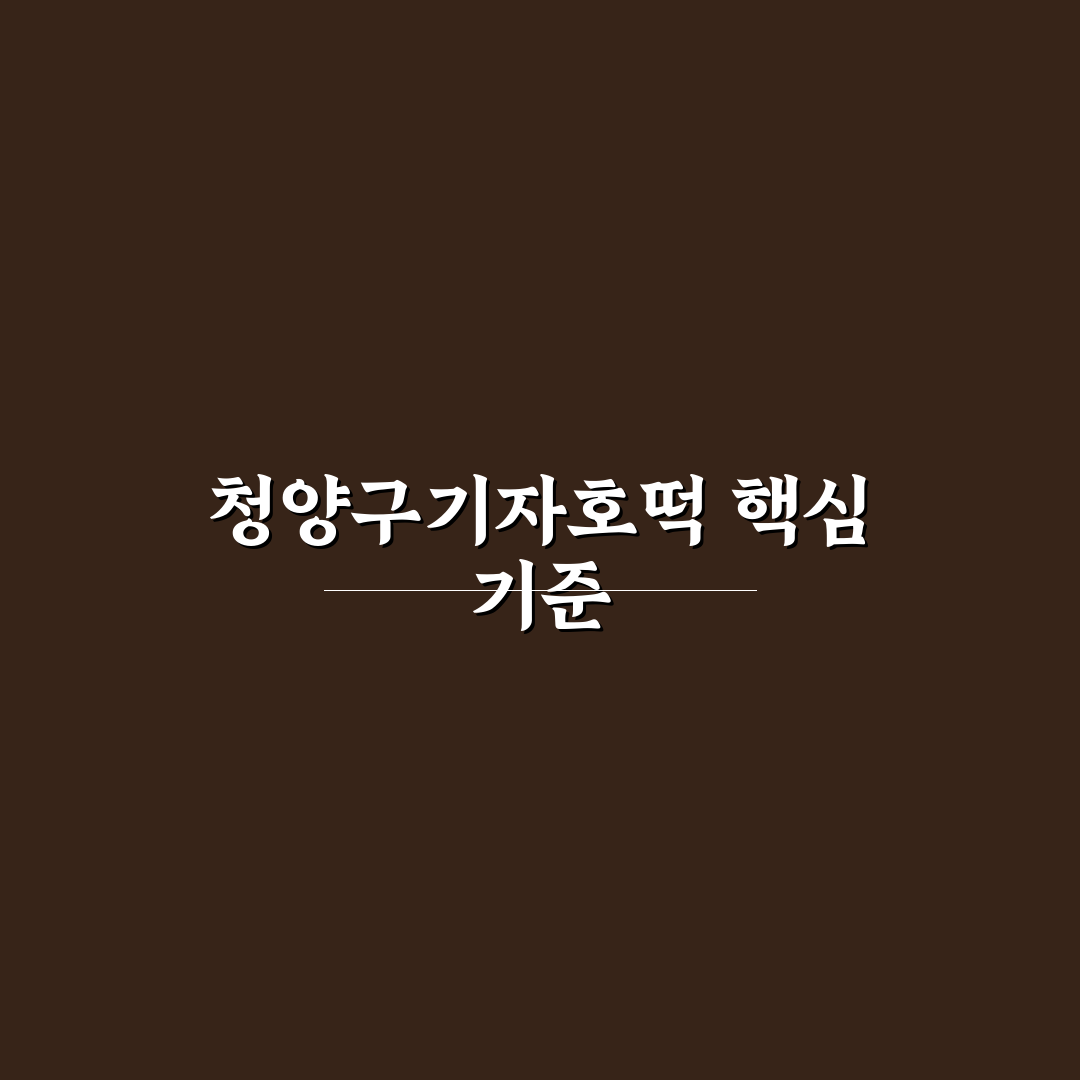 청양구기자호떡 맛과 품질 비교 분석 가이드