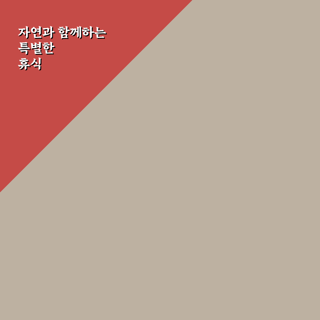 남이섬 차담 이용 가이드와 주요 체크포인트 분석