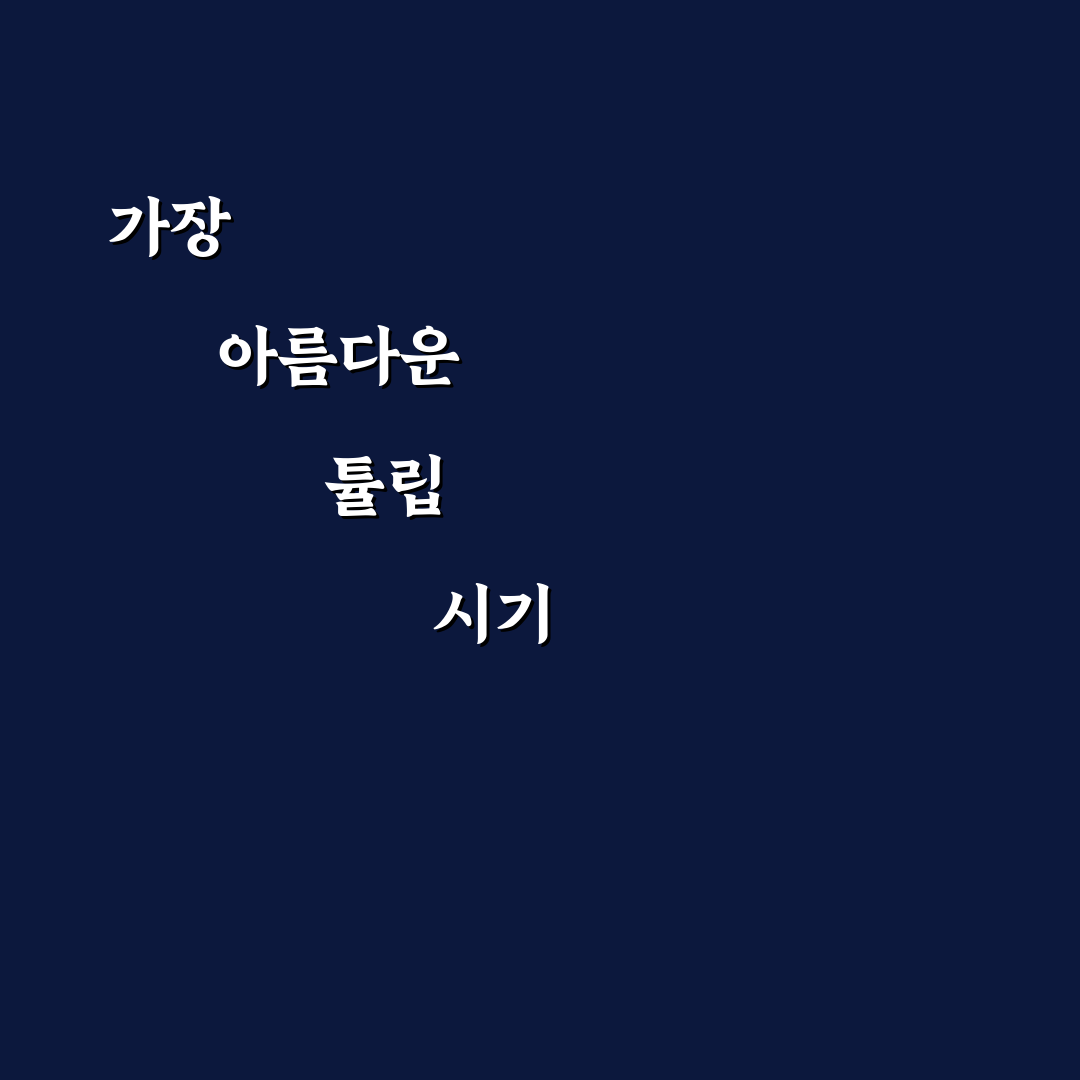 태안 튤립축제 기간별 특징과 방문 체크포인트 분석