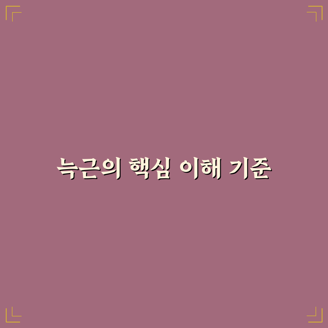 늑근 선택 가이드와 주요 비교 기준 총정리