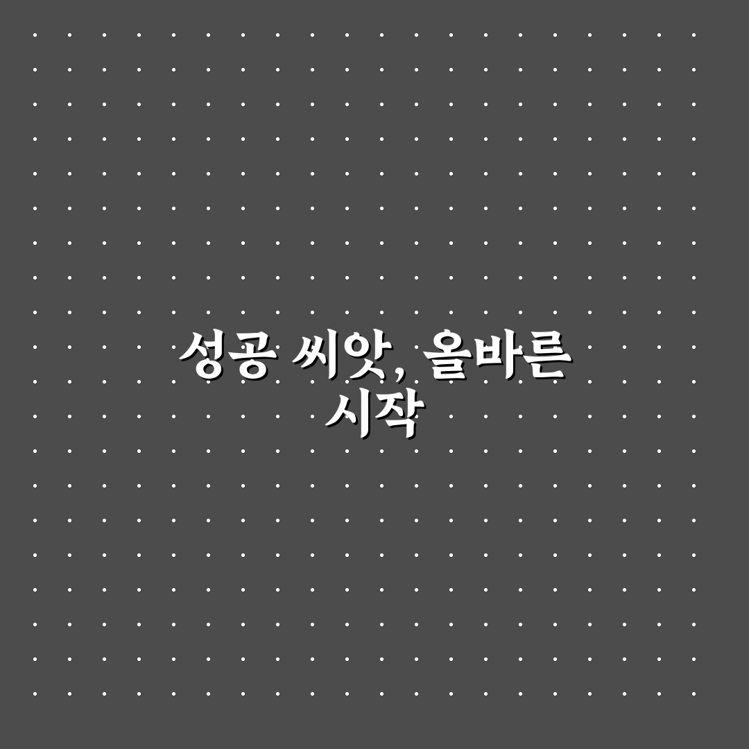 양귀비꽃 씨앗 파종방법 5가지 핵심 기준과 체크포인트