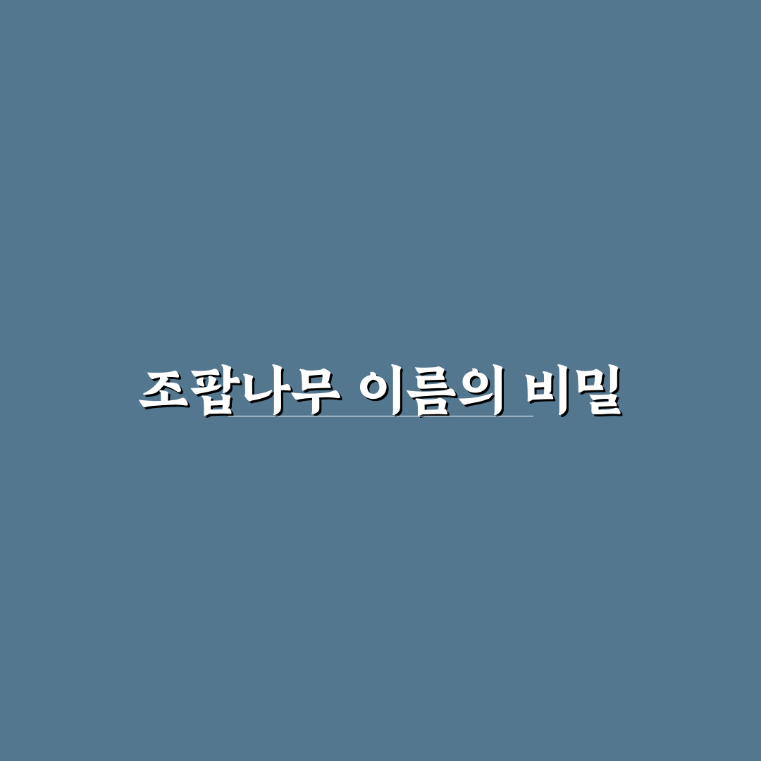 조팝나무 어원과 명칭 변천사 분석 가이드