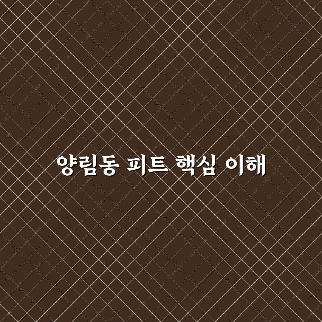 양림동 피트 비교와 선택 5가지 기준 총정리