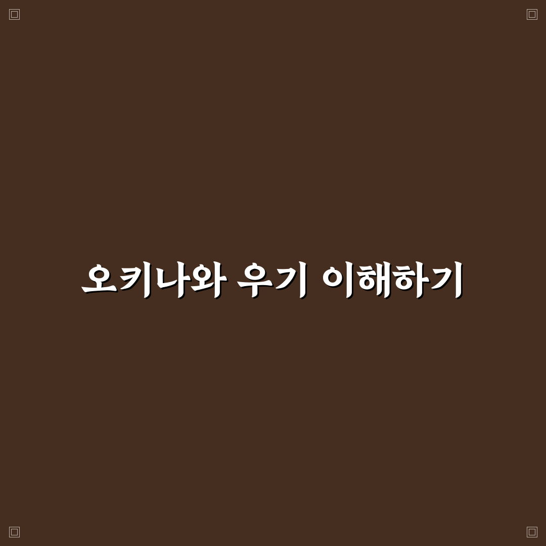 오키나와 우기 기간별 특징과 대비 방법 총정리
